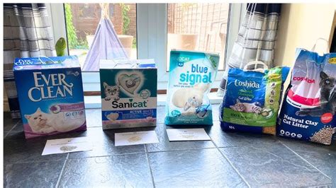 Sivocat Blue Signal Cat Litter Review | informacionpublica.svet.gob.gt