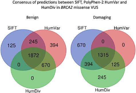 Summary Of Consensus In Prediction Outcomes For Brca Missense Vus