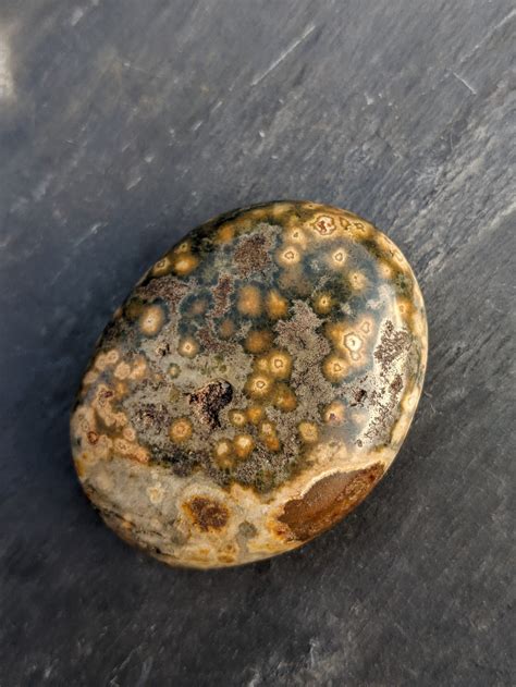 Rare Orbicular Ocean Jasper Palm Stone Fish Eye Ocean Jasper Etsy