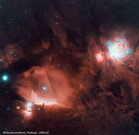 Horsehead and Orion Nebula : r/astrophotography