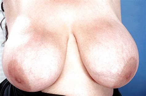 Bbw Busty Xl Girl Sweety Porn Pictures Xxx Photos Sex Images Pictoa