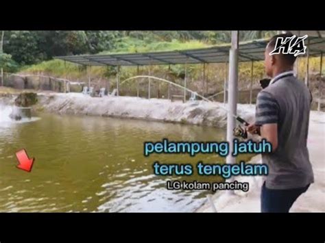 Mancing Kolam Air Masin Lg Kolam Pancing Batang Kali Kolam Youtube