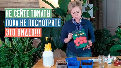 СЕЗОН 2020: САЖАЙТЕ ТОМАТЫ ТОЛЬКО ТАК!!! Рассада будет крепкая и ...