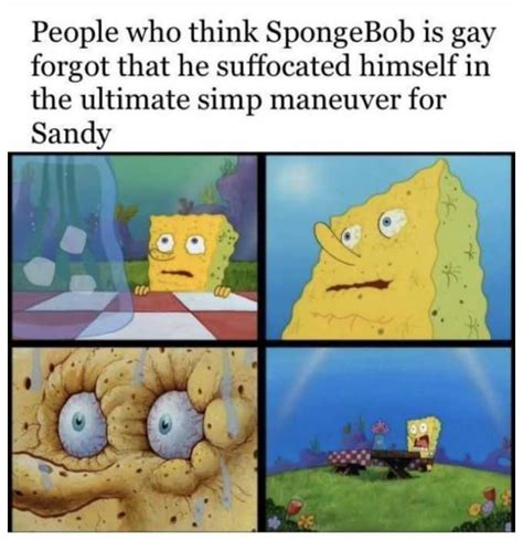 Hilarious Gay SpongeBob Memes The Funny Beaver