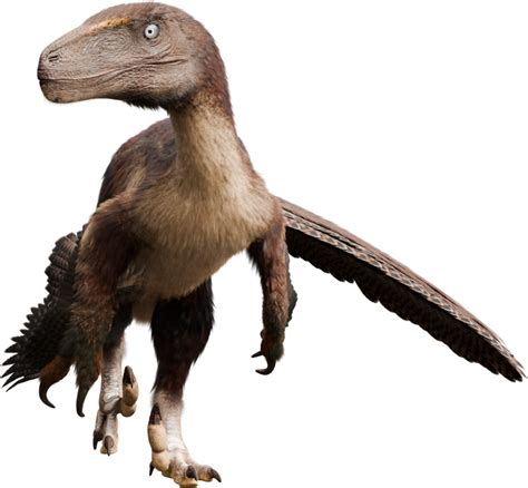 Deinonychus | Facts app