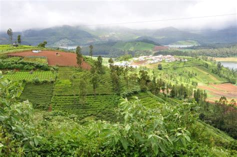 Ooty - Emerald Lake