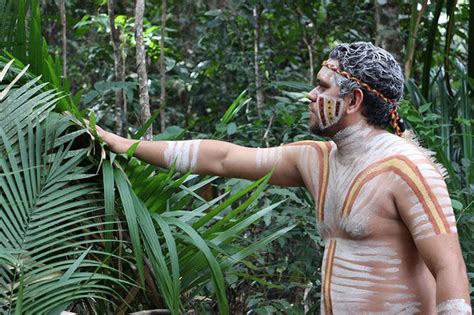 Pamagirri Aboriginal Experience Rainforestation Nature Park