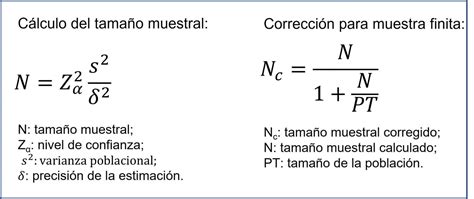 Tamaño Muestral Para La Estimación De Una Media Ciencia Sin Seso Locura Doble