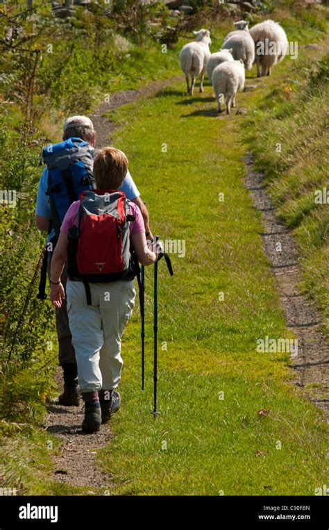 Wandern Im Snowdonia Nationalpark Fotos Und Bildmaterial In Hoher