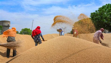 Govt Fixes Support Price Of Wheat Fiscal Nepal