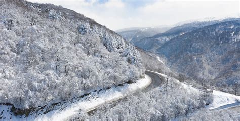 Article | Winter Holidays in Armenia