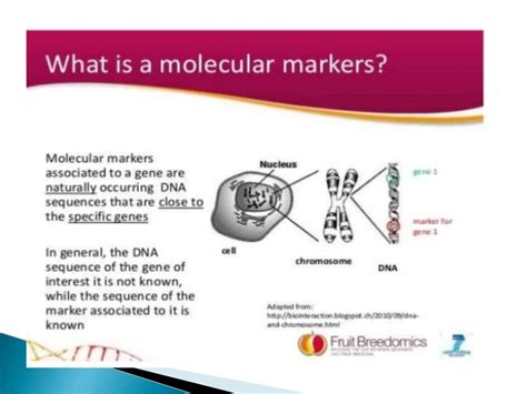 Genetic markers