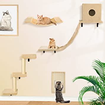 Amazon Cat Wall Furniture Set Cat Wall Shelves Include Cat