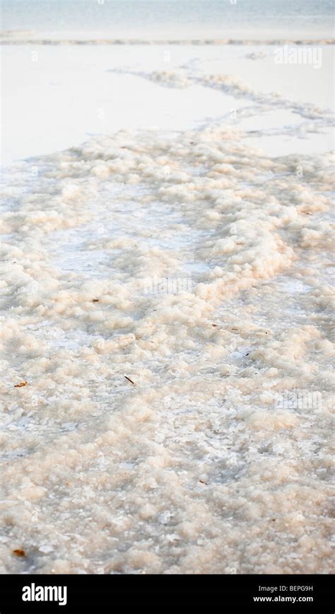 Israel, Dead Sea Salt crystal Stock Photo - Alamy