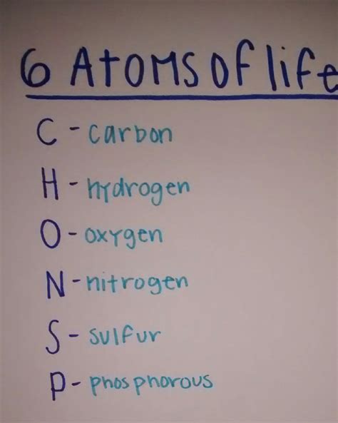 6 Atoms Of Life Diagram Quizlet