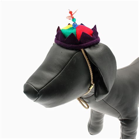 Propeller Beanie Dog Hat Baxterboo