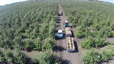 Биопрепараты в системе защиты плодовых культур - Союз органического ...