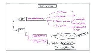 Chromosomal Alterations In Human Genetics A Comprehensive Guide To Autosomal And Sex Chromosome