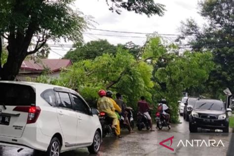 BMKG Waspadai Angin Kencang Di Lima Pulau NTT Pada 10 12 April