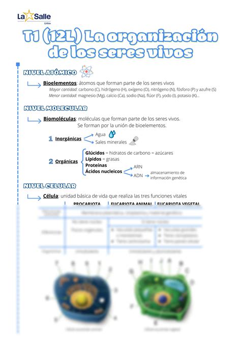 SOLUTION T1 12l La Organizaci N De Los Seres Vivos Biolog A Y Geolog A