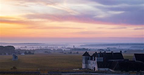 Small group tour Morning in Côte de Beaune | GetYourGuide