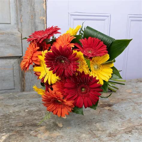 Grandiose Gerbera Daisy Bouquet Wilbe Bloomin, Kensington Market's ...