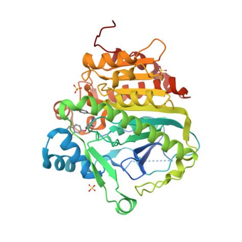 RCSB PDB 5YE9 The Crystal Structure Of Lp PLA2 In Complex With A