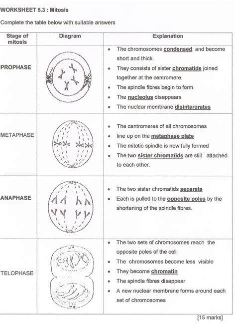 Biology Form 4 Chapter 5 Modules Answer