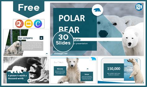 Polar Bear Template PowerPoint Templates And Google Slides