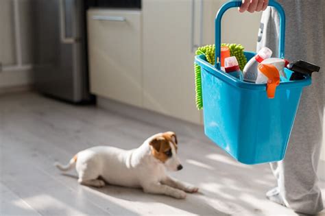 Cafuné produtos de limpeza para quem tem cachorro em casa