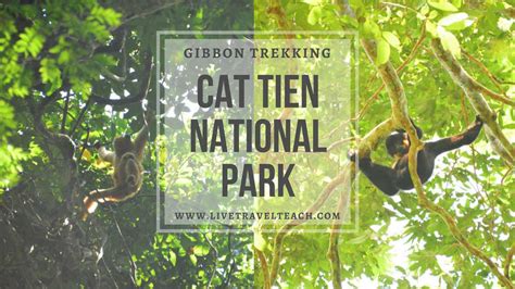 cat tien national park trekking  wild gibbons  travel teach
