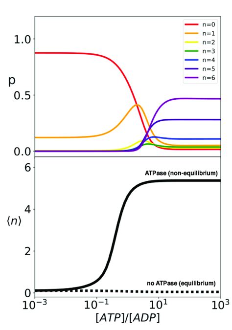 Hsp70 Binding Is A Non Equilibrium Process That Depends On Atp Download Scientific Diagram