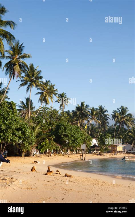 Mejores Playas Sri Lanka Fotograf As E Im Genes De Alta Resoluci N Alamy