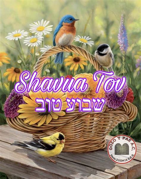 Pin By Sherry Guttman On Shabbat Shavua Tov Shabbat Shalom Shabbat