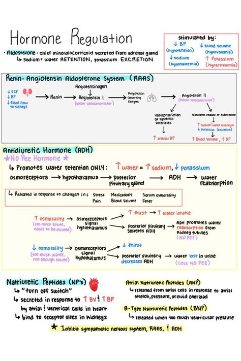 Hormone Regulation | Hormones nursing, Nurse study notes, Medical ...