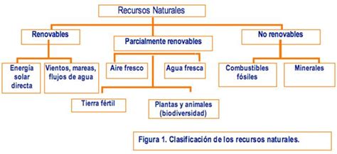 Agotamiento De Los Recursos Naturales Monografias