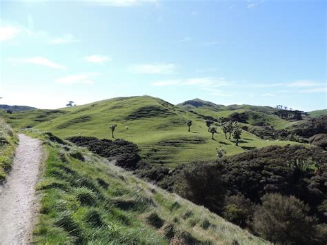 THE ROAD TAKEN : Wharariki Beach