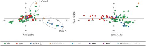 Frontiers Biogeography And Evolution Of Thermococcus Isolates From Hydrothermal Vent Systems