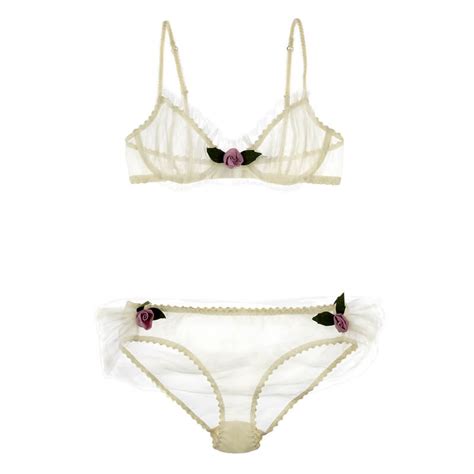 Spotlight On Buttress And Snatch Lingerie