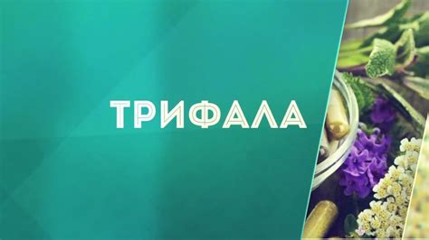 Трифала – древнее аюрведическое средство - YouTube