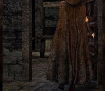 Thief Ezri Don T Get Nevermind 8muses Sex And Porn Comics