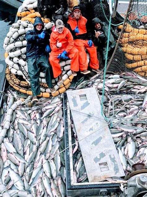 A Day In The Life Of Alaskan Fishermen — Alaska Fishermens Network