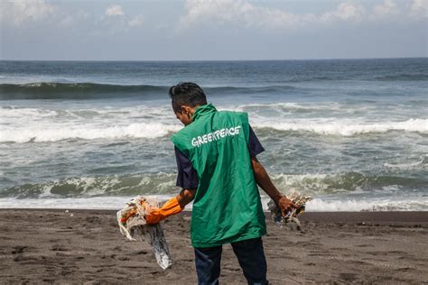 Biodiversidad Greenpeace M Xico