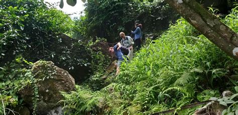 Parque Nacional De Bidoup Descubre La Belleza Y La Biodiversidad