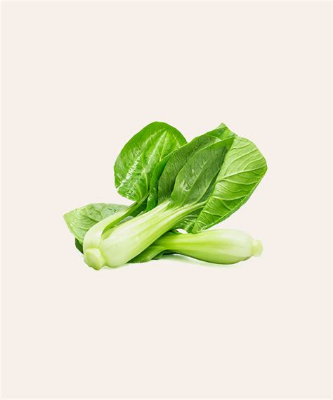 CHINESE CABBAGE - My WordPress