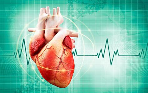 Cardiopatia O Que é Causas Sintomas E Tratamentos Dicas De Saúde