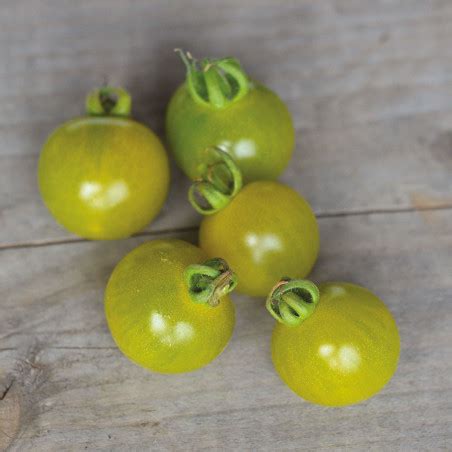 M Lange Tomates Cerises Ste Marthe Livraison Gratuite