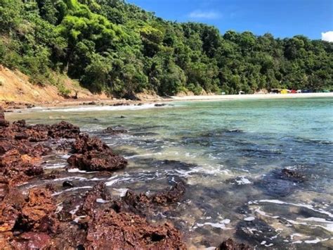 Praia do Madeiro guia completo desse paraíso no Rio Grande do Norte