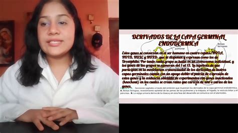 Derivados De La Capa Germinal Endodermica YouTube