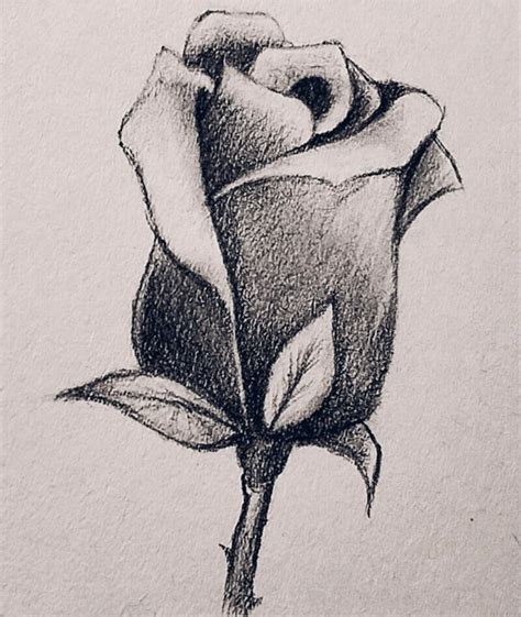 Learn How To Draw A Rose Easy Step By Step Video Tutorial